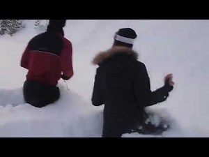 Watch This Massive Moose Sprint Through Deep Snow! 🫎❄️