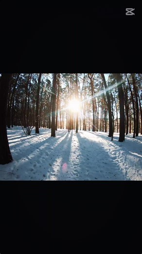 #winter #iceland #cold #lithuania #snow