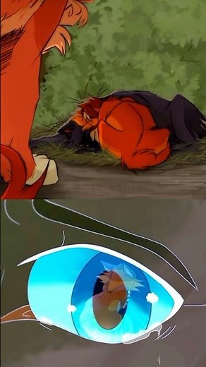 Warrior cats I love you so moments