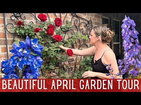 2024 April Garden Tour in Zone 8 🌷 || Spring Garden Tour || Cut Flower Garden