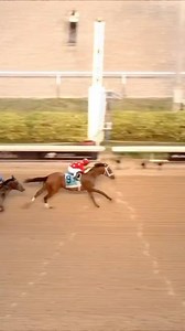 4.7K views · 6.6K reactions | “If you’re looking for a shortcut to Louisville, take a ride on Tappan Street!” Tappan Street (2-1) is your winner at the 74th running of the Florida Derby.  | NBC Sports | Facebook