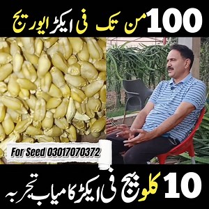 1.8M views · 39K reactions | Italian wheat _ Wheat farmers _(1080P_HD) | Desi Life Desi Fun | Facebook