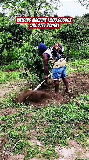 Weeding Machine Brush cutter for removing unwanted weeds from your farm or garden #brushcutter