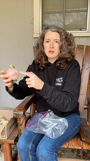 Turnip storage tips! #turnip #turnips #garden #plants #howto #hack | Anna Ribbeck