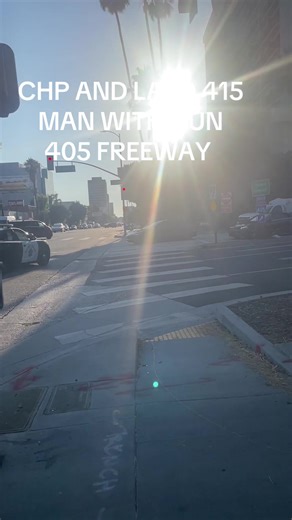 POLICE PURSUIT TV on TikTok