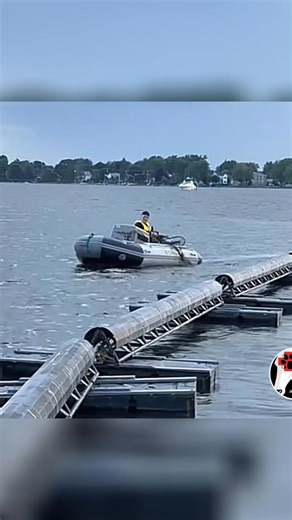 Here is the best way 269 animal rescue can thank you. Here is screenshots from our TikTok page. This is all from 2025 showing about half of all the animals we helped. Because of your support and having faith in us. Also huge thanks goes to Animo-Nourri, Boutique Passion Animale, Jean-Yves Lemay, Garderie Pour Chiens "La Tanière À Lou", Sandy Pines wildlife centre, Holly’s Haven wildlife rescue, Animatch Dog Adoption, Global pet foods, Wizoo, Clinique Vétérinaire Harwood and countless others. 202