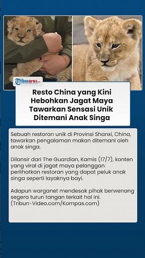 Restoran Unik di China Tawarkan Sensasi Makan Bersama Anak Singa, Jadi Kontroversi Warganet