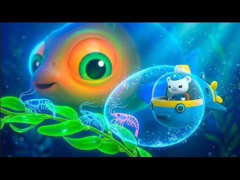 ⚓ Micro Rescue Mission! 🦐 The Octonauts & The Invisible Skeleton Shrimp! Full Episode