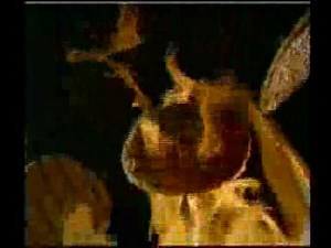 Burger King "Rodeo Burger" Commercial (1998) | You Can't Handle the Truth