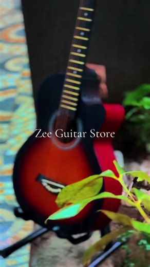 Best Waterproof Acoustic Guitars for Beginners