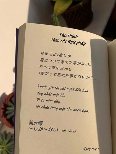 色んな文法で口説こう！ 第27課 〜しか〜ない chỉ, chỉ có #hoctiengnhat #hoctiengnhatquavideo #日本語勉強 #tiengnhat #jlpt #thathinh