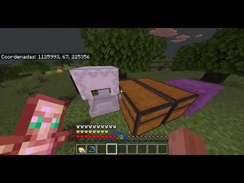 Dub coordrop 2b2tpe