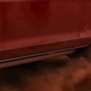 Cassandra Delaney Fair Game 1986