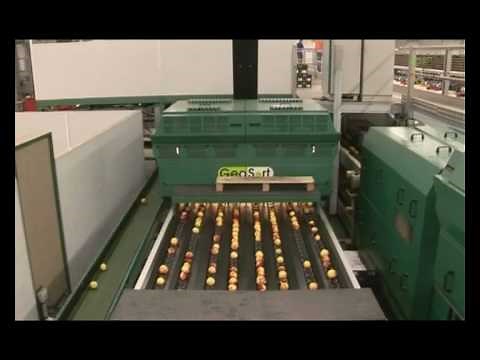 Sistema de Trazabilidad