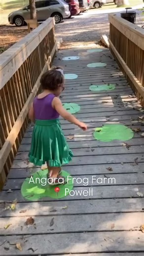 1.7K views · 103 reactions | Angora Frog Farm is a story inspired...