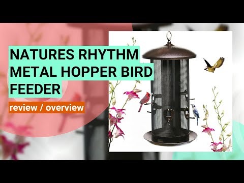 Review: Nature's Rhythm Metal Hopper Bird Feeder - Dual Chambers & 10 Feeding Ports