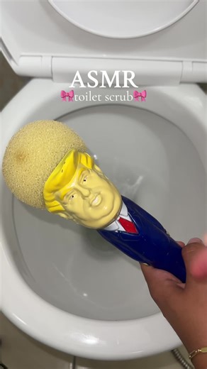 Effective Toilet Scrubbing Techniques for a Deep Clean