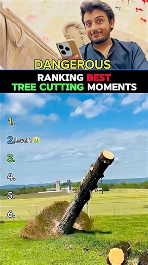 Ranking BEST Tree Cutting Moments (Level 1 to 5 ) 🪓😱