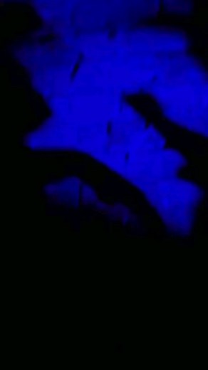 Wrestling Pics & Clips on Instagram: "WWE RAW Intro in 2002 😍 . . . . . . . #wwe #wwereels #wrestlingreels #wrestling #wweraw #raw #wwf"