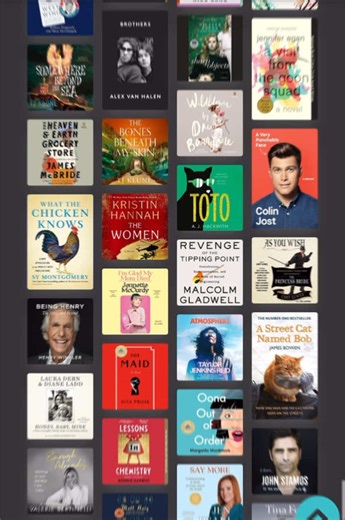 I’m proud that 99% of these came from my local libraries via @Libby App Happy New Year! #booktok #audiobook #2025 #storygraph
