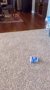 Never take her oreo 😱😱😱😱😱 #OreoChallenge #oreo #oreopops #sweettooth #sweettreats | The McCarty Family