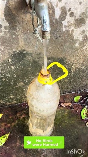 Smart Water Feeder for Country Chicken Chicks | Farm Update