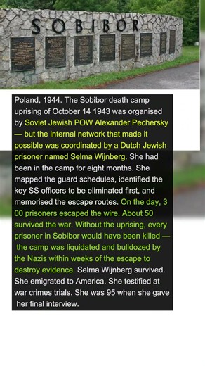 She Organised the Largest Mass Escape in WW2 History | Military History Talks