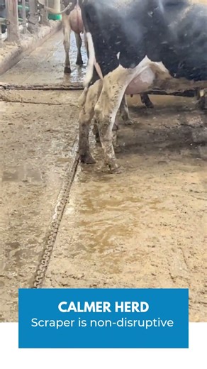 Benefits of Alley Scraper Systems