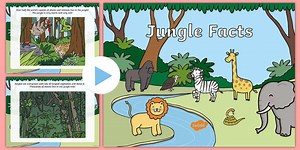 Jungle Facts PowerPoint