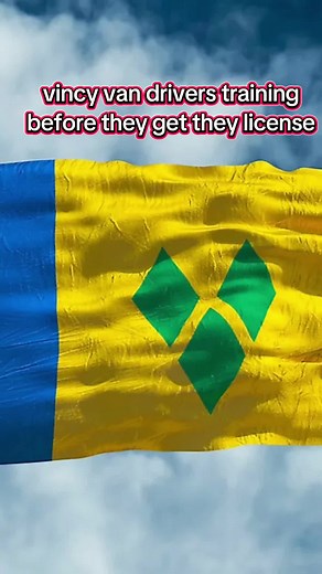 Vinci Van Drivers Training for License Acquisition