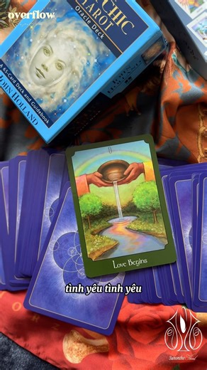 Thông Điệp Mỗi Ngày 🫶🏻✨ Tín hiệu cho bạn lúc này #thongdiepvutru #tarot #daily