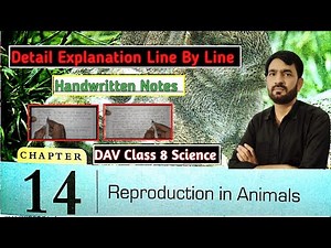 DAV Class 8 Science Chapter 14 Reproduction In Animals Full Explanation Line By Line With Class Note