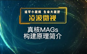 真核MAGs构建原理简介