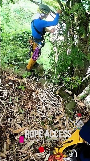 ロープアクセスによる弾性波探査