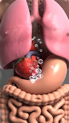 3 Simple Tricks to Instantly Improve Your Digestion and Stop Swallowing Air