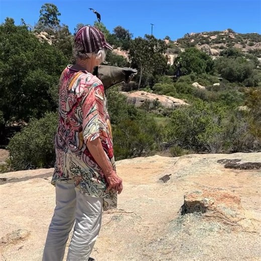 Larue the crested caracara coming in from a big breezy flight during an Ultimate Bird of Prey falconry experience. The caracara’s distinctive flight style means they can cover a lot of ground very quickly. It makes for fun dynamic flights, and he is always curious and game for anything. | Avian Behavior Conservancy