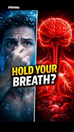 What Happens Inside Your Body When You Hold Your Breath. #healthfacts