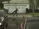 Video: Angry birds chase off thief who stole woman's peacock | Daily Mail Online