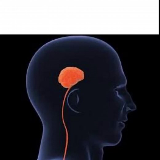 Understanding Astronomy: The Study of Celestial Objects and the Universe