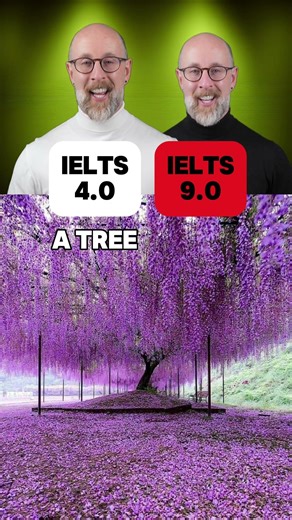 Do you know these TREES in English?