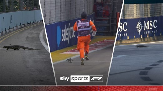 Singapore GP: History of lizards invading the track