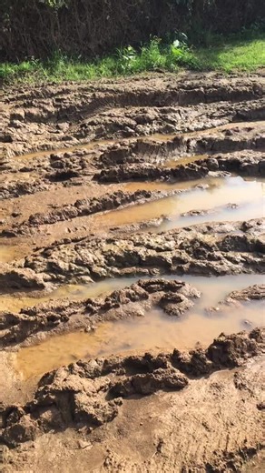 Mud dive? #mudlife #mud