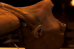 Hoy en TV, la película de ciencia ficción con una de las muertes más tristes de la historia del cine. Un impresionante thriller postapocalíptico que arrasó en taquilla