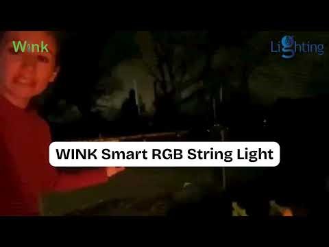 Control the Colors of Your World – WINK Smart RGB String Lights!