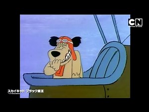 Cartoon Network Japan - Continuity (August 1, 2024)