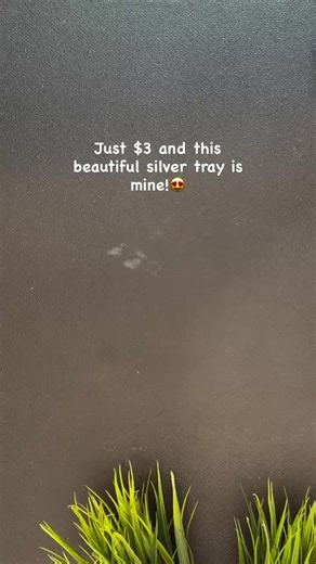 Nooooooooooo! #silver #wrightssilvrercream #silverpolish #selvytcloth #savannah