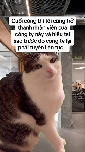 Tuyển quanh năm, tuyển 4 mùa xuân hạ thu đông, tuyển hôm qua hôm nay ngày mai, tuyển cả ngày nắng lẫn ngày mưa…