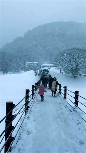 We spent last winter in Shirakawago, and it was so much fun! ❄️ We...