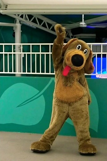 Meet Wags The Dog From The Wiggles | Dreamworld | The Wiggles Meet & Greet | #dreamworldau