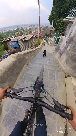 2.5M views · 10K reactions | Best caption wins  . . . . @insta360 X3 #insta360 . . . . #POV #dog #extremesports #stairs #kashmir #adrenaline #fyp #explorepage #reelsindia | Yawar Ali | Facebook